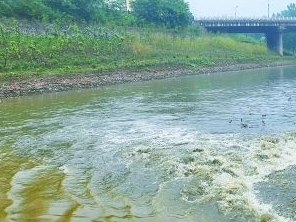 定州污水清运多少钱